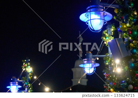 Blue street lamps and garland shine beside string lights against a dark sky. Festive ornaments decorate the walkway in a bright theme park scene. 133624715
