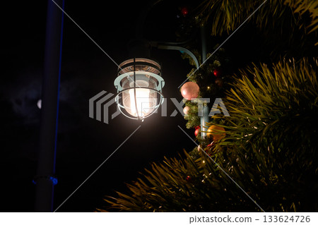 A bright lantern on a garland-wrapped lamppost shines beside palm leaves while the moon hangs in the sky. Christmas ornaments and twinkle lights create a calm holiday scene in a theme park. A bright lantern on a garland-wrapped lamppost shines beside palm leaves while the moon hangs in the sky. Christmas ornaments and twinkle lights create a calm holiday scene in a theme park. 133624726
