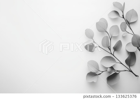 Elegant arrangement of gray leaves on a minimalist background 133625376