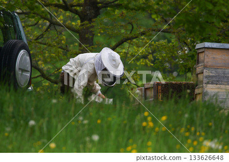 Beekeeper in Protective Suit Checking Hive with Smoker in Spring Field Beekeeper in Protective Suit Checking Hive with Smoker in Spring Field 133626648