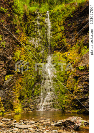 Little waterfall in mountains, Norway. 133627064