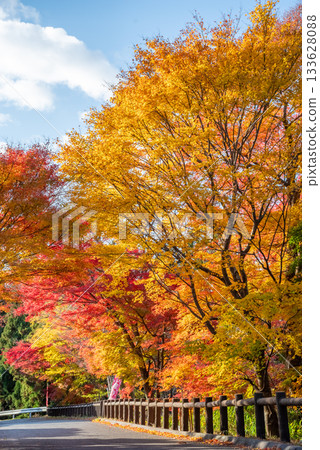 水澤紅葉溪谷的紅葉（三重縣四日市市） 133628088