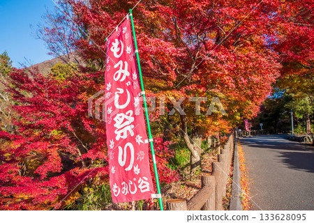 水澤紅葉溪谷的紅葉（三重縣四日市市） 133628095