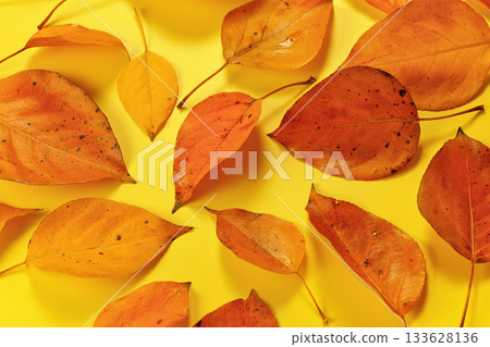 Orange coloured autumn leaves on yellow board, top down view 133628136
