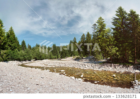 Shallow river flowing in forest, sun shines on round stones and trees at both sides Shallow river flowing in forest, sun shines on round stones and trees at both sides 133628171