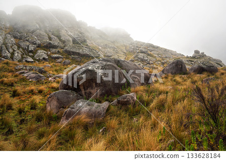 Mist rolling over brown green grass growing near lichen covered rocks, typical scenery seen in Andringitra national park, during trek to pic Boby 133628184