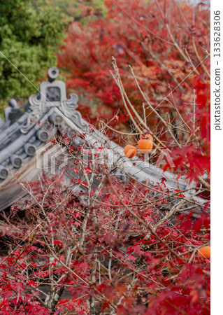 Scenery of Jakko-in temple grounds in autumn 133628306