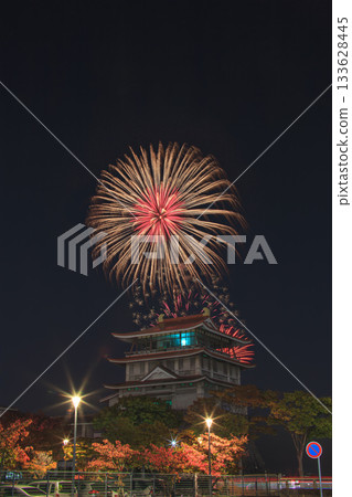 琵琶湖秋季煙火秀 琵琶湖文化中心 133628445