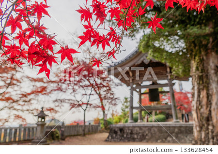 Scenery of Jakko-in temple grounds in autumn 133628454
