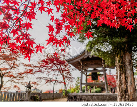 Scenery of Jakko-in temple grounds in autumn Scenery of Jakko-in temple grounds in autumn 133628455