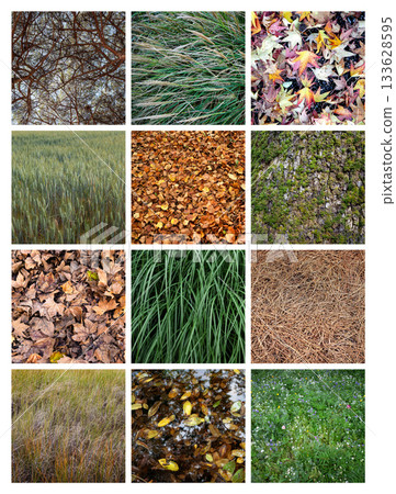 A montage of twelve images about nature 133628595