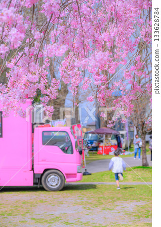 Food truck, cherry blossoms and a boy [Suwa Takashima Castle] 133628784