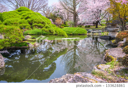 [Shinji Pond] Spring-colored pond [Suwa Takashima Castle] 133628861