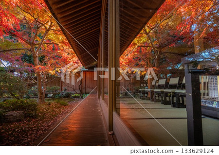 Chikusei City, Ibaraki Prefecture Autumn leaves at Saisho-ji Temple 133629124