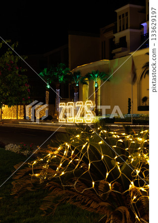 Illuminated 2026 sign with palm trees at night Illuminated 2026 sign with palm trees at night 133629197
