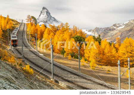 Gornergrat Railway Train, Matterhorn Mountain and Golden Larches in Autumn. Switzerland Gornergrat Railway Train, Matterhorn Mountain and Golden Larches in Autumn. Switzerland 133629545