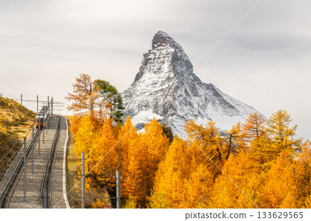 Gornergrat Railway Train, Matterhorn Mountain and Golden Larches in Autumn. Switzerland Gornergrat Railway Train, Matterhorn Mountain and Golden Larches in Autumn. Switzerland 133629565