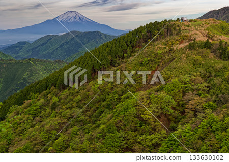 清晨從丹澤表山脊看到的烏尾嶽和富士山 清晨從丹澤表山脊看到的烏尾嶽和富士山 133630102