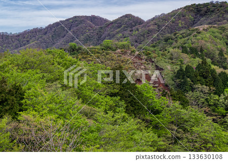 從新綠的丹澤表嶺看到的殿岳 133630108