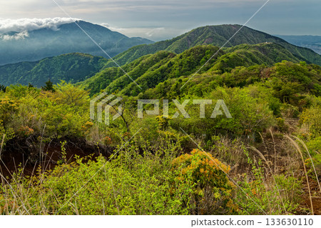 從丹澤表嶺翠綠的山脊上眺望山王座和大山。 133630110