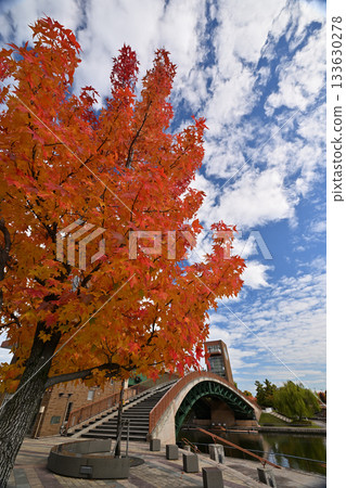 富山縣富岩運河關水公園的秋葉 富山縣富岩運河關水公園的秋葉 133630278