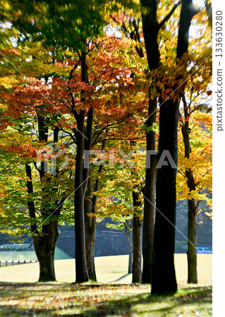 Shinoki Guest House的秋葉 Shinoki Guest House的秋葉 133630280