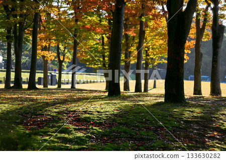 Shinoki Guest House的秋葉 133630282