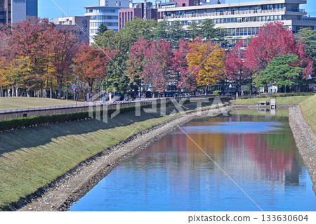 Autumn leaves at Shiinoki Green Space 133630604
