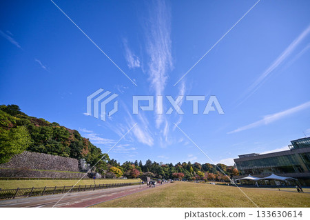 椎木綠地的秋葉 133630614