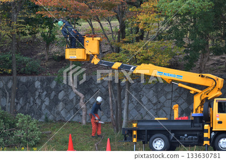 Tree felling in parks, environmental conservation and safety measures, public works 133630781