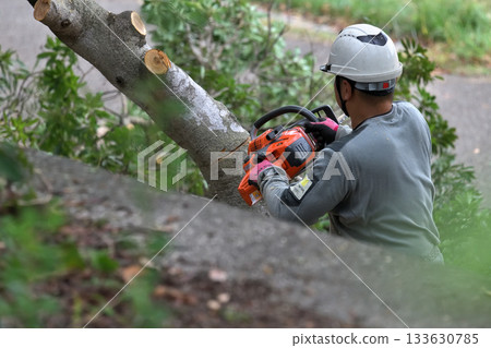 公園裡的樹木被電鋸砍伐，環境保護和安全措施，公共工程 133630785