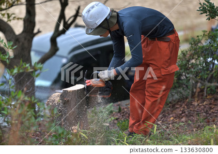 Trees in parks cut down with chainsaws, environmental conservation and safety measures, public works 133630800