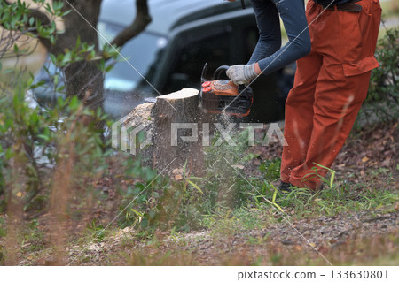 公園裡的樹木被電鋸砍伐，環境保護和安全措施，公共工程 133630801