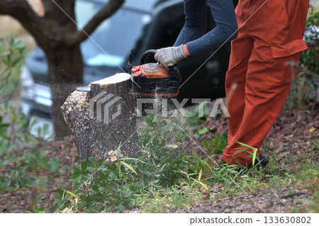 Trees in parks cut down with chainsaws, environmental conservation and safety measures, public works 133630802