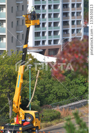 園區內的樹木砍伐、環境保護與安全措施、公共工程 133630813