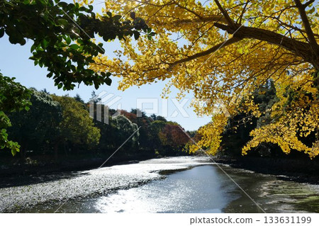 公園的秋天 133631199