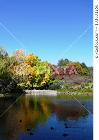 公園的秋天 133631256