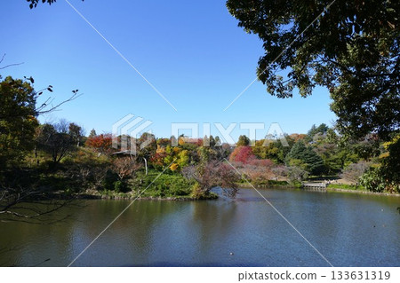 公園的秋天 133631319