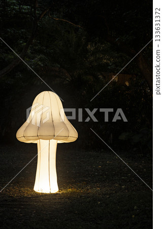 Fairy tale world: Night light rays of light and art equipment 133631372