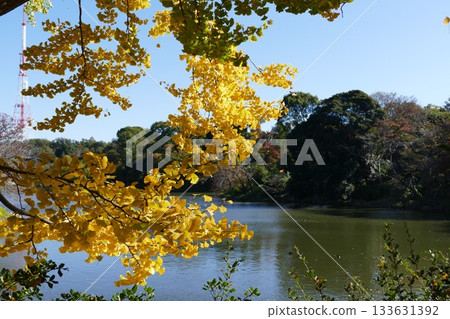 公園的秋天 133631392
