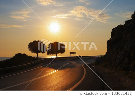 Sunset silhouette of trees on coastal road 133631432