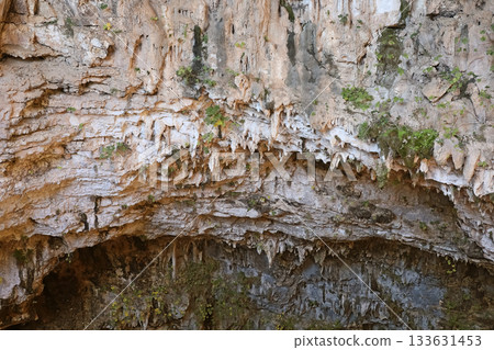 Steep cliff with vegetation and overhang 133631453