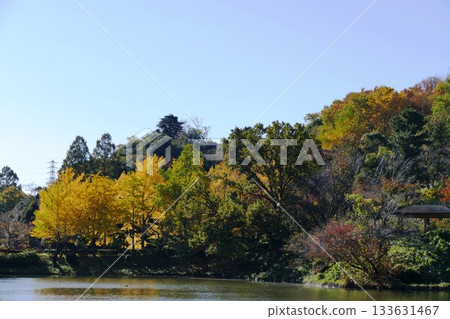 公園的秋天 133631467