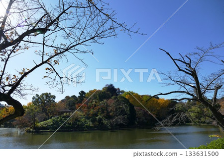 公園的秋天 公園的秋天 133631500