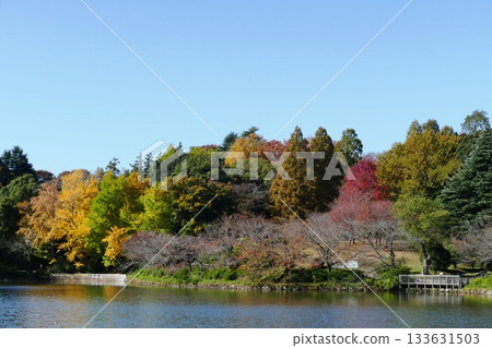 公園的秋天 133631503