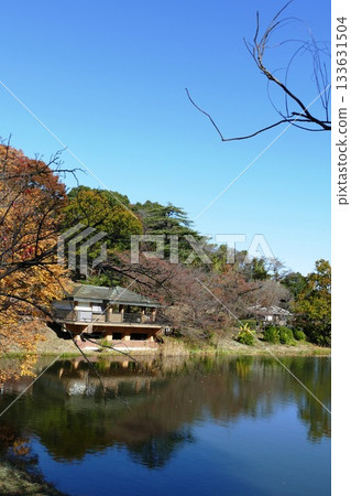 公園的秋天 133631504