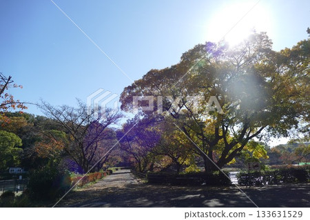 公園的秋天 公園的秋天 133631529