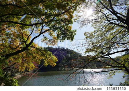公園的秋天 公園的秋天 133631530