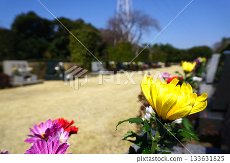 a visit to a grave a visit to a grave 133631825