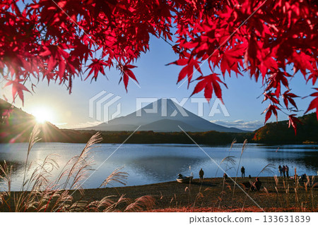 從精進湖眺望富士山，秋色美不勝收。 133631839